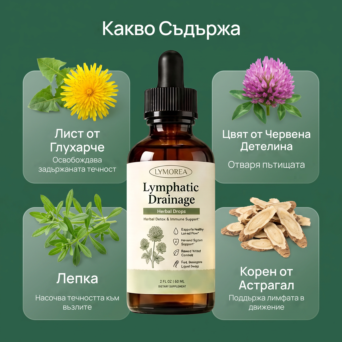 Kakvo sadarzha: list ot gluharche, tsviat ot chervena detelina, lepka, koren ot astragal