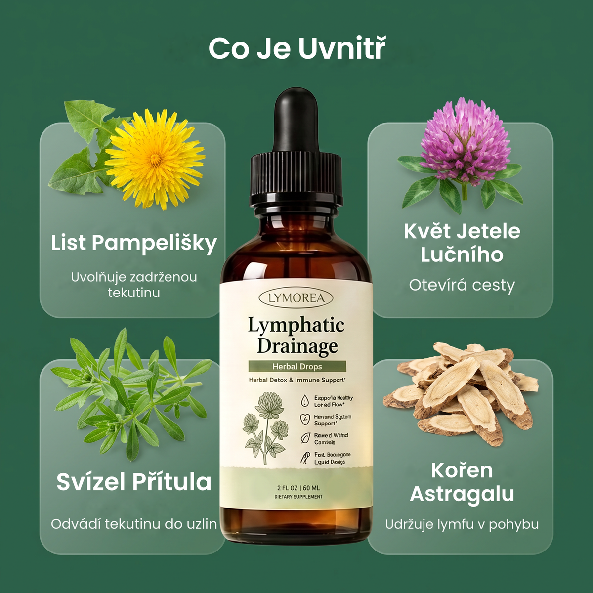 Co je uvnitr: list pampelisky, kvet jetele lucniho, svizel pritula, koren astragalu